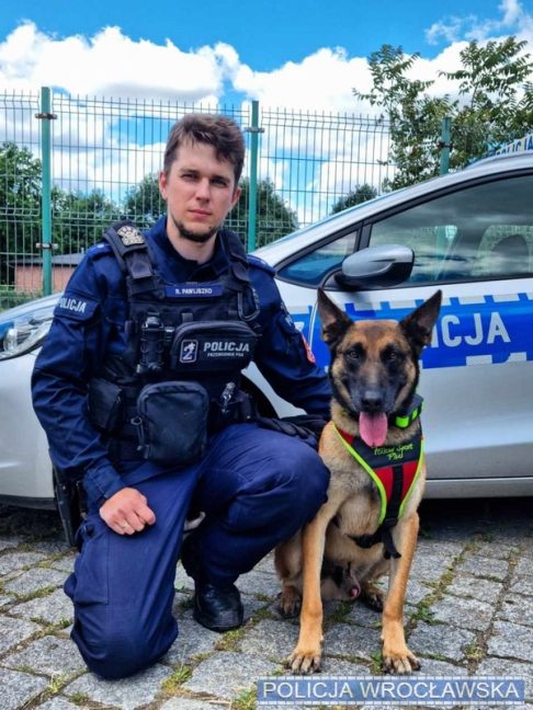 Pies Lonar policja wrocławska